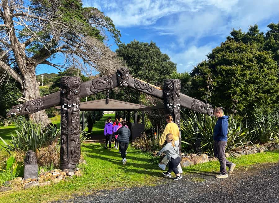 Waiheke Island: Maori Cultural Tour + Lunch + Wine - A Māori introduction at Matiatia Bay