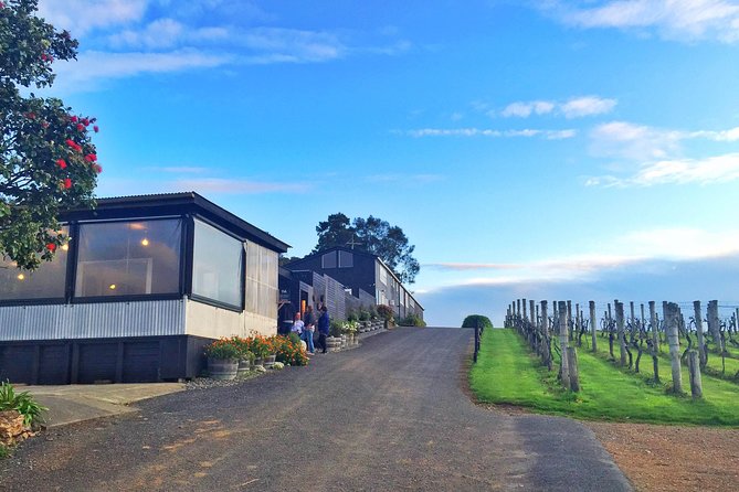 Waiheke Island Premium Wine Tour with Tastings - Key points at a glance