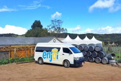 Waiheke Island Premium Wine Tour with Tastings