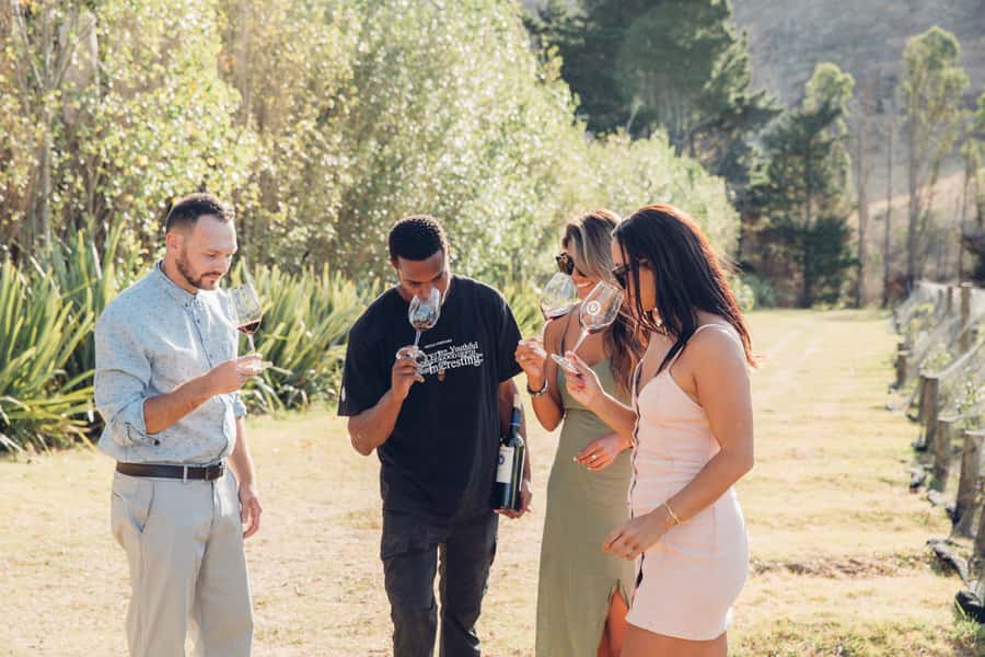 Waiheke Island: Scenic Island Wine Tour & Local Wine Tasting - Key points to know before you book