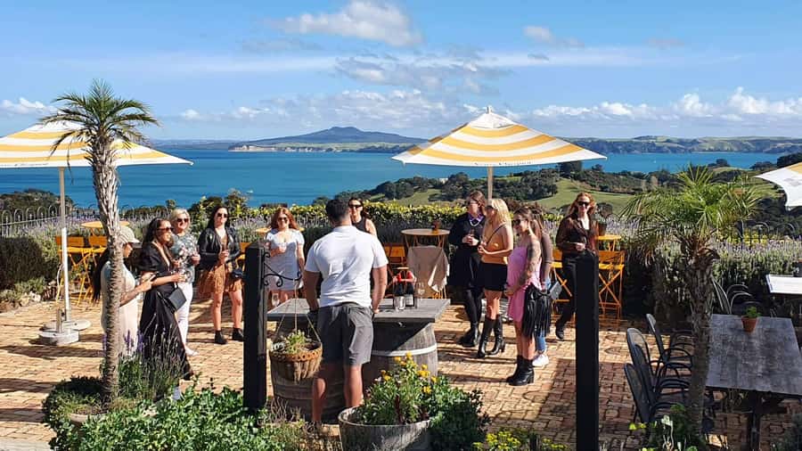 Waiheke Island: Scenic Island Wine Tour & Local Wine Tasting - Starting at Matiatia Wharf and getting your bearings