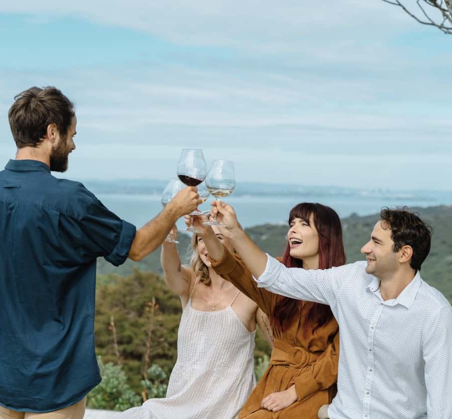 Waiheke Island: Scenic Island Wine Tour & Local Wine Tasting - Stonyridge, Mudbrick, and the final tastings