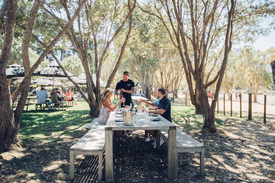 Waiheke Island: Scenic Island Wine Tour & Local Wine Tasting - Value at $113, with two costs to add