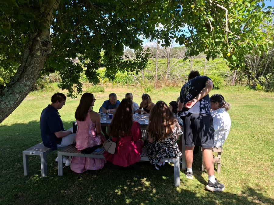 Waiheke Island: Sip and Savor 3 Vineyards Tour with Lunch - What $178 includes, and what it does not