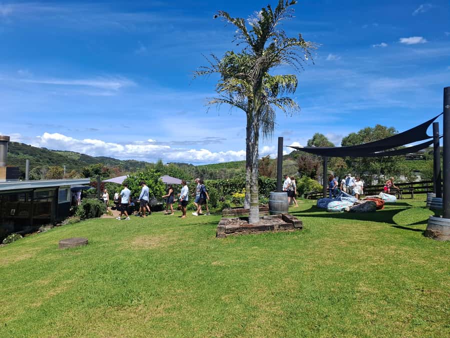 Waiheke Island: Sip and Savor 3 Vineyards Tour with Lunch - Who should book this island outing?