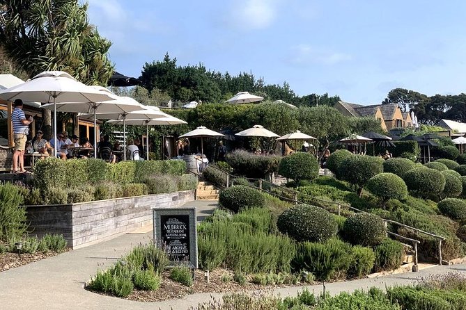Waiheke Island Vineyards and Bush Walk - The first climb through restored bush