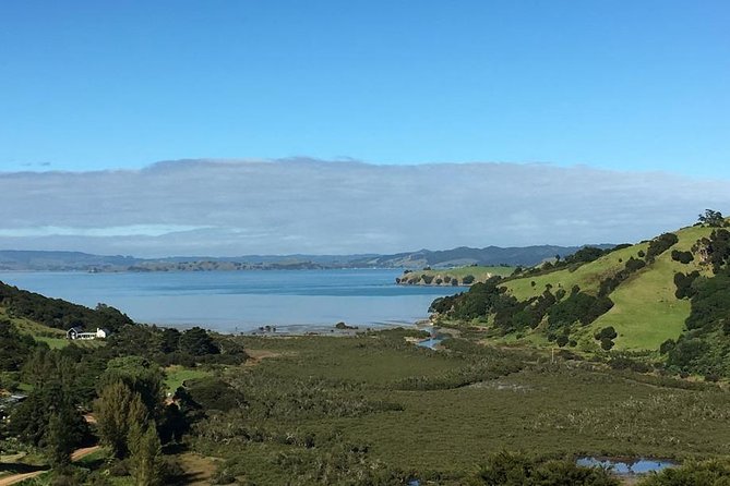 Waiheke Island Vineyards and Bush Walk - Bush tracks, valleys, and vineyard country