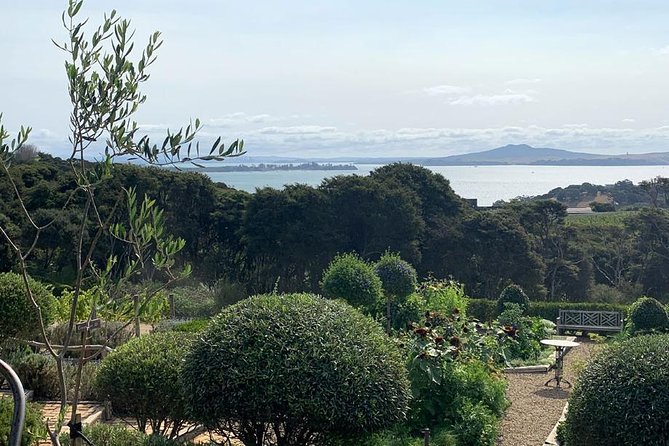 Waiheke Island Vineyards and Bush Walk - What the guides add to the day