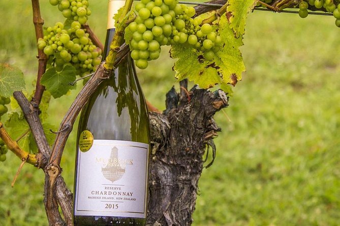 Waiheke Island Vineyards and Bush Walk - Who will enjoy this Waiheke walk?