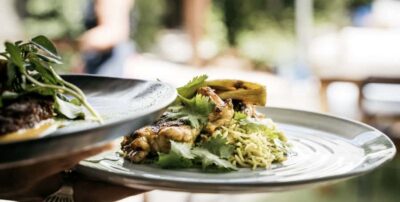 Wine Tour & Lunch at Award Winning Venue