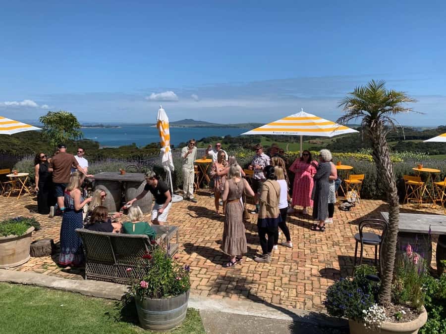 Waiheke Island: Wine Tour & Lunch at Award Winning Venue - Lunch at 372 Beside Onetangi Beach