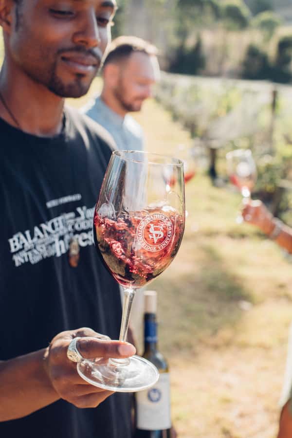 Waiheke Island: Wine Tour & Lunch at Award Winning Venue - Timing, Ferry Connections, and the Flexible Finish