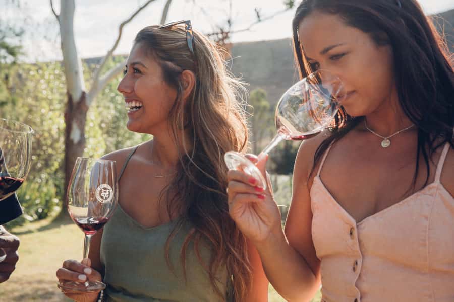 Waiheke Island: Wine Tour & Lunch at Award Winning Venue - Is $173 a Fair Price?