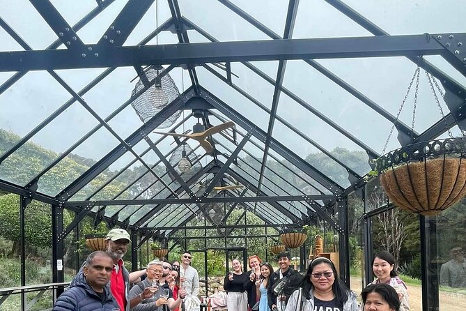 Waiheke Island Wine Tour with Scenic Vineyards & Tastings - How much value do you get for $117.91?