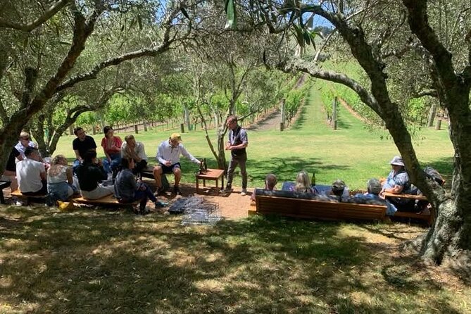 Waiheke Island Wine Tour with Tastings & Gourmet Beachfront Lunch - Stonyridge brings a Mediterranean feel