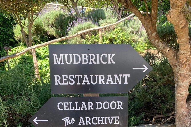Waiheke Island Wine Tour with Tastings & Gourmet Beachfront Lunch - Who should book, and who should skip it