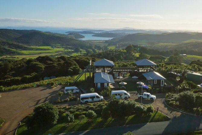 Waiheke Island: Zipline And Forest Walk - From Auckland harbor to Waiheke’s Matiatia wharf