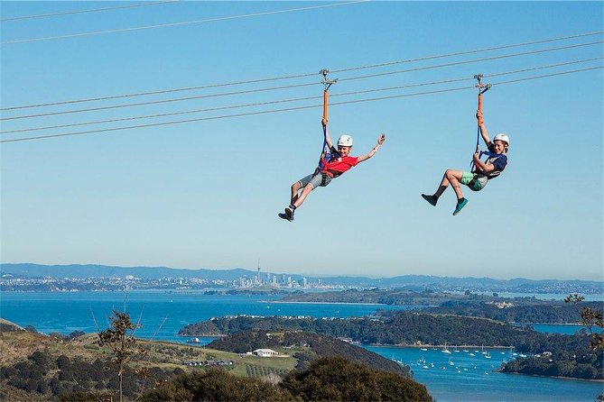 Waiheke Island: Zipline And Forest Walk - The forest walk back to the visitor center