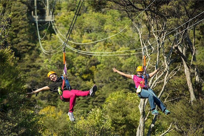 Waiheke Island: Zipline And Forest Walk - Safety, height, and physical demands