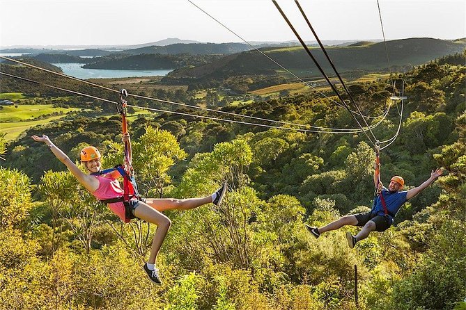 Waiheke Island: Zipline And Forest Walk - What the $92.47 price really covers
