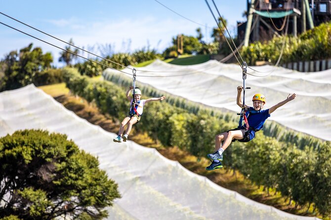 Waiheke Island: Zipline And Forest Walk - Who will enjoy this most