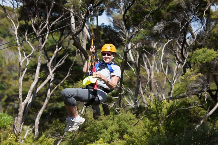 Waiheke Island: Zipline and Native Forest Adventure Trip - Should you book EcoZip on Waiheke Island?