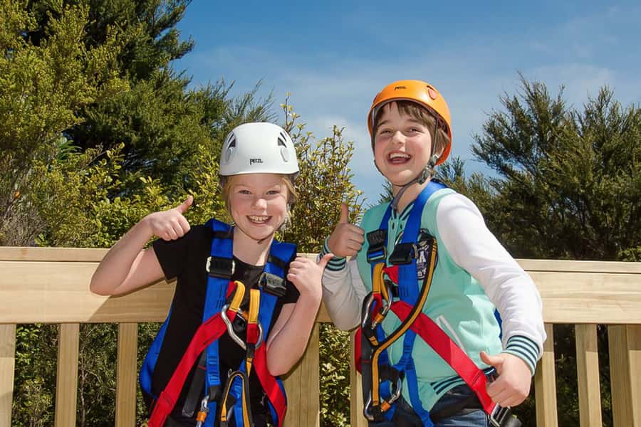 Waiheke Island: Zipline and Native Forest Adventure Trip - How safe does EcoZip feel?