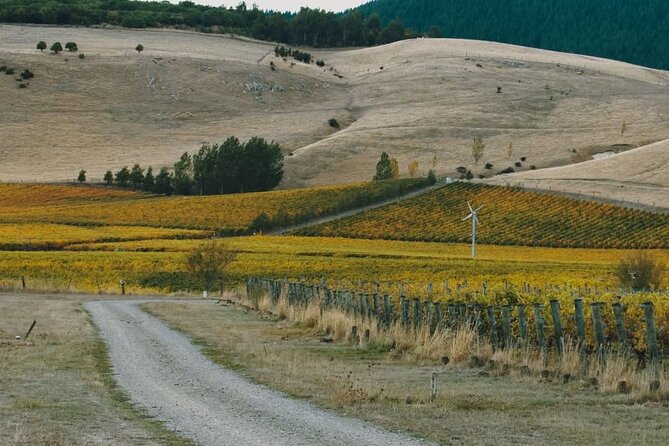 Waipara Valley Winery Tour Wine Tastings and Scenic Views - Waipara Springs: the family touch