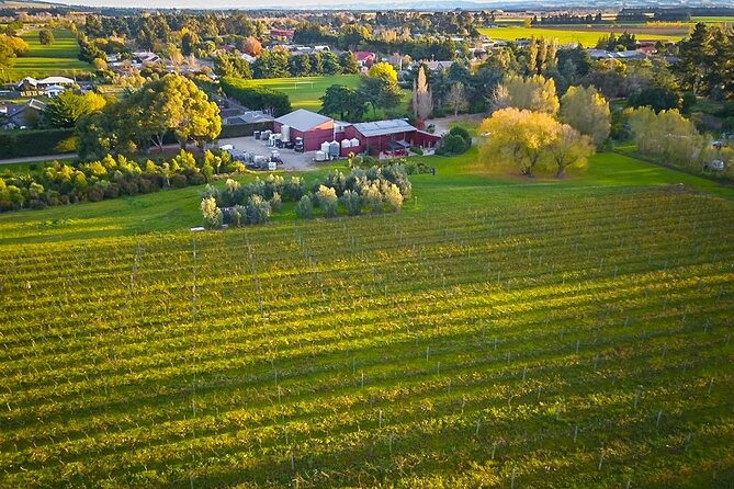 Waipara Valley Winery Tour Wine Tastings and Scenic Views - Is $235.20 a fair price?