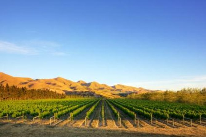 Waipara Wine Tour from Christchurch - including Lunch & Tastings - Why Waipara makes a good half-day from Christchurch