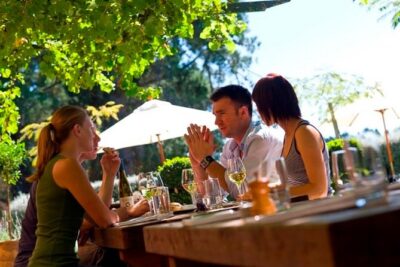 Waipara Wine Tour from Christchurch – including Lunch & Tastings