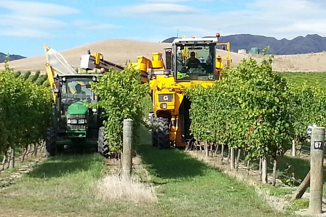 Waipara Wine Tour from Christchurch - including Lunch & Tastings - Pegasus Bay, the possible final highlight