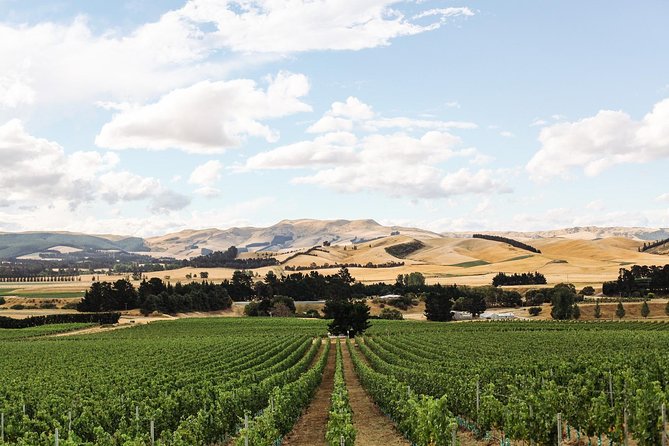 Waipara Wine Tour from Christchurch - including Lunch & Tastings - How the pace feels in practice