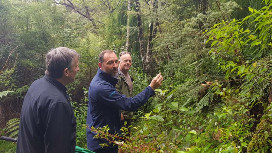 Waitakere Ranges Wilderness Experience Tour from Auckland - From Auckland streets to the Waitakere Ranges