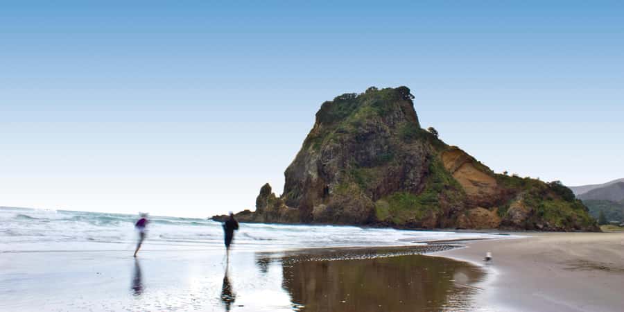 Waitakere Ranges Wilderness Experience Tour from Auckland - Arataki Visitor Centre and the first big view