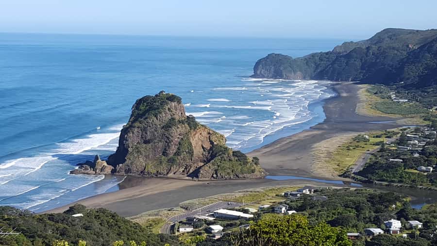 Waitakere Ranges Wilderness Experience Tour from Auckland - Who should book this Waitakere half-day tour