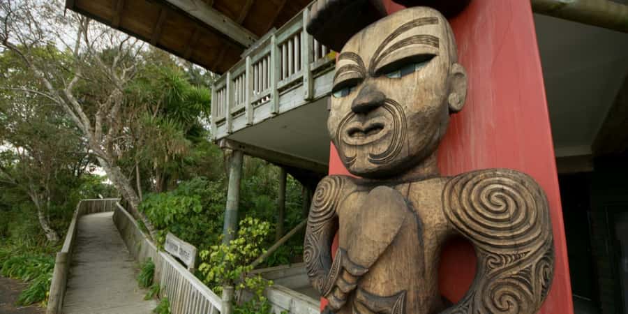 Waitakere Ranges Wilderness Experience Tour from Auckland - A walk beneath kauri, palms, and giant ferns