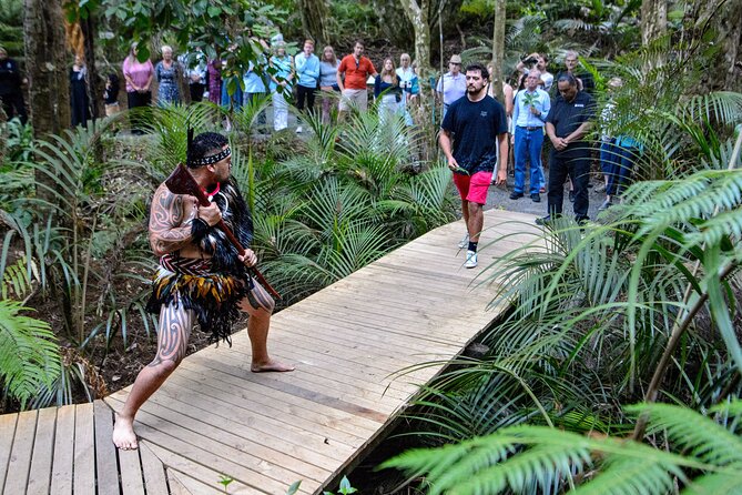 Waitangi Treaty Grounds: Combo Pass (Hāngī + Concert + Admission) - Starting at Whare Waka Café
