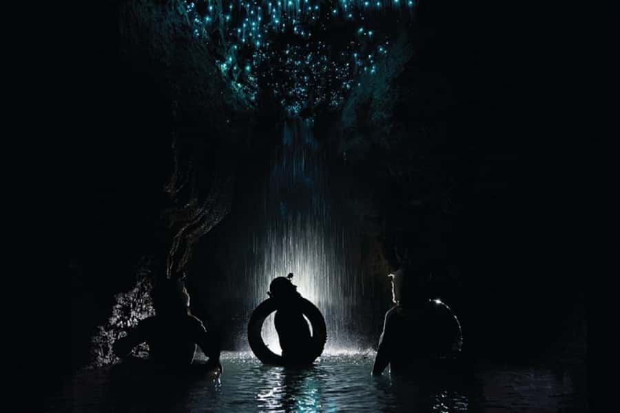 Waitomo Caves Black Abyss Ultimate Caving Experience - Why the guides matter so much