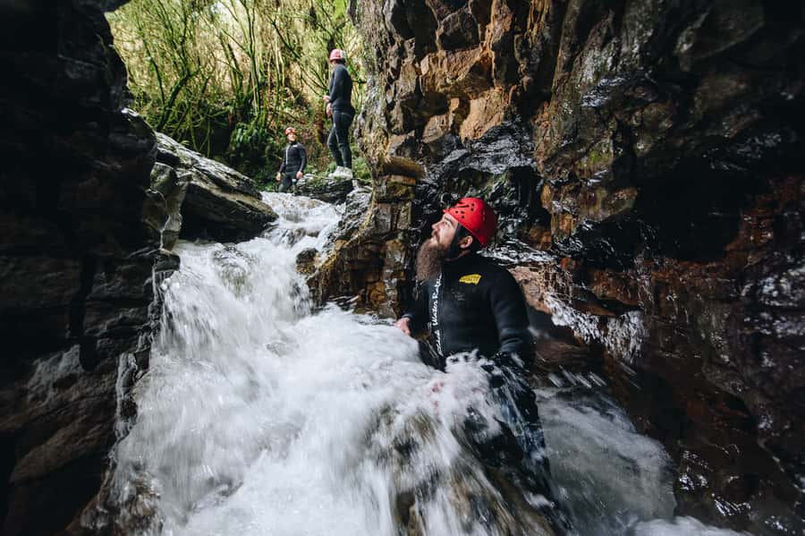 Waitomo Caves Black Abyss Ultimate Caving Experience - Book it or choose a gentler Waitomo outing?