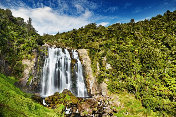 Waitomo Caves Private Tour from Auckland - Who gets the best value from this tour