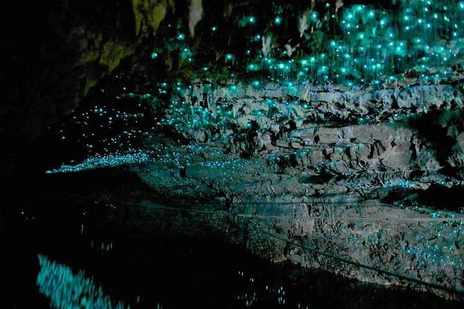 Waitomo Caves Private Tour from Auckland - What the guide adds to the cave visit