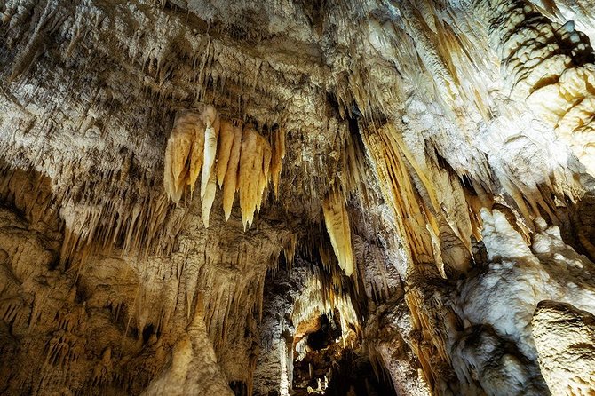 Waitomo Caves & Rotorua - Te Puia Small-Group Tour from Auckland - Waitomo’s glowworm caves and silent boat ride