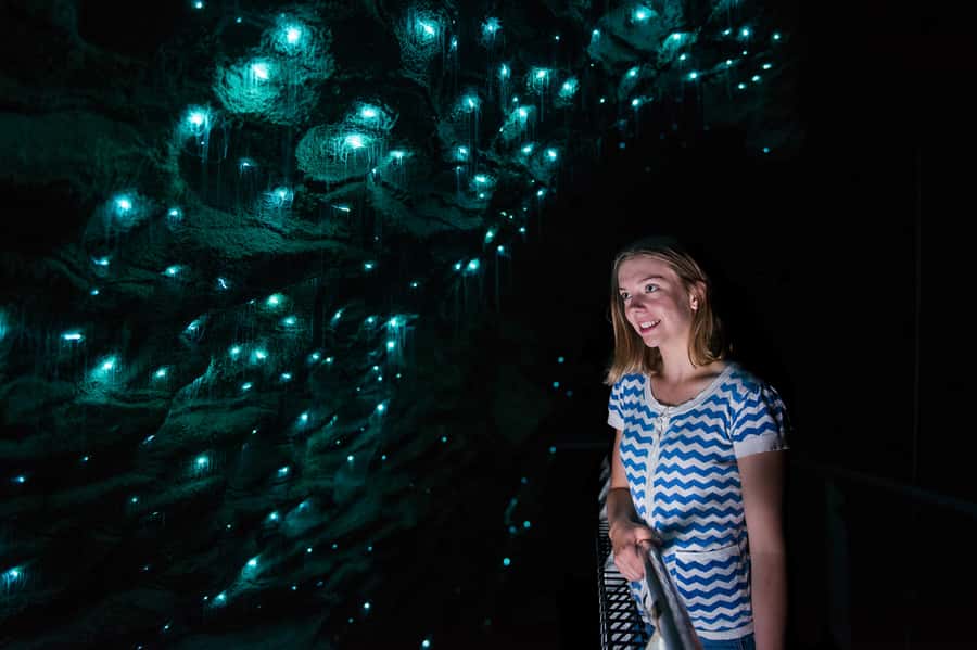 Waitomo Caves: Ruakuri Glowworm Cave Guided Walking Tour - Key points to know before you book
