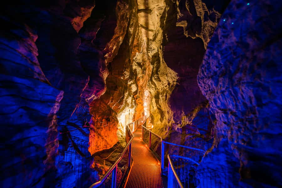 Waitomo Caves: Ruakuri Glowworm Cave Guided Walking Tour - Who should book Ruakuri Cave?