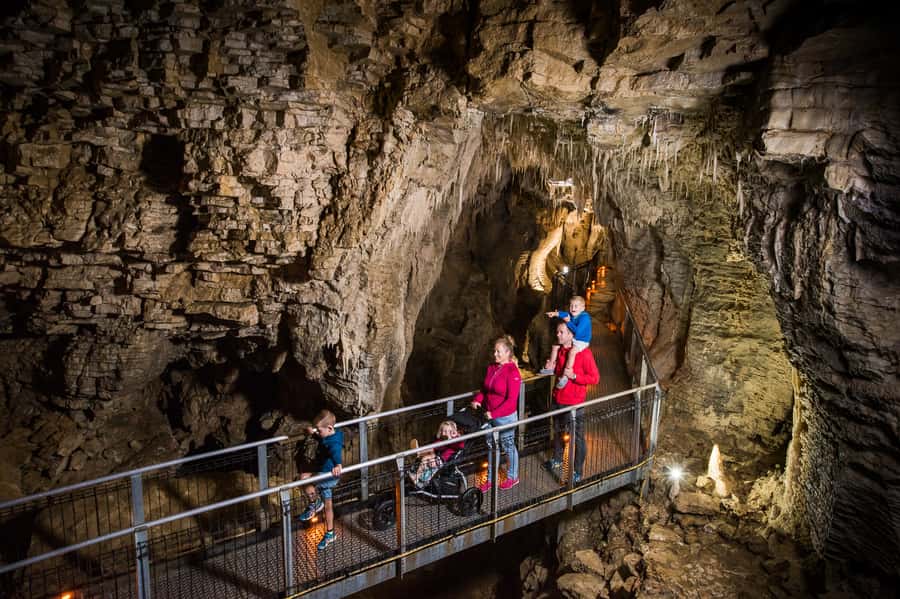 Waitomo Caves: Ruakuri Glowworm Cave Guided Walking Tour - The Drum Passage, The Pretties, and Ghost Passage