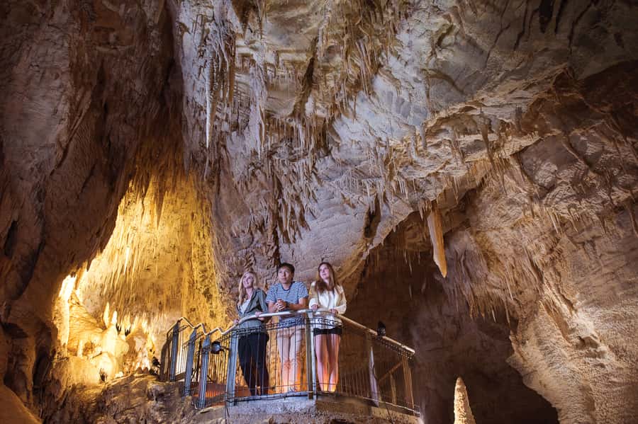 Waitomo Caves: Ruakuri Glowworm Cave Guided Walking Tour - Glowworms at close range