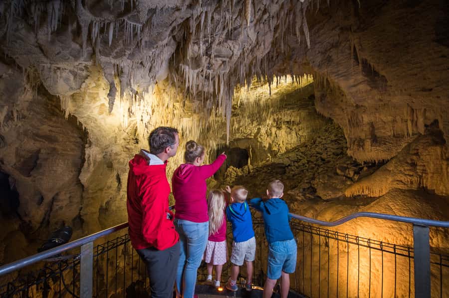 Waitomo Caves: Ruakuri Glowworm Cave Guided Walking Tour - What the guide adds to the 90 minutes