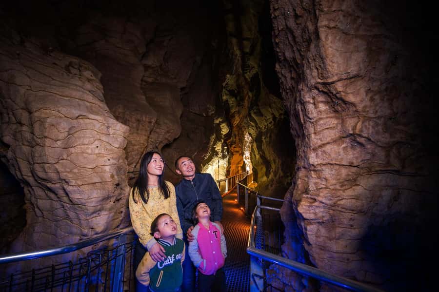 Waitomo Caves: Ruakuri Glowworm Cave Guided Walking Tour - Price, timing, and the practical side