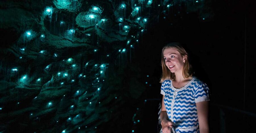 Waitomo Caves: Ruakuri Glowworm Cave Guided Walking Tour - Wheelchair access and the Ruakuri Bushwalk